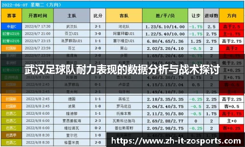 武汉足球队耐力表现的数据分析与战术探讨